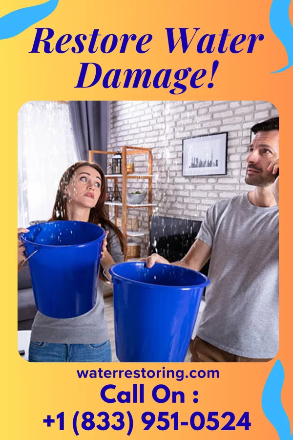water restoration Citywide Disaster Cleanup Partners Belterra