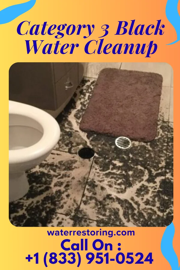 Category 3 Black Water Cleanup in Belterra, TX