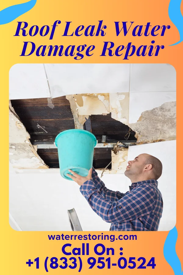Roof Leak Water Damage Repair in Belterra, TX